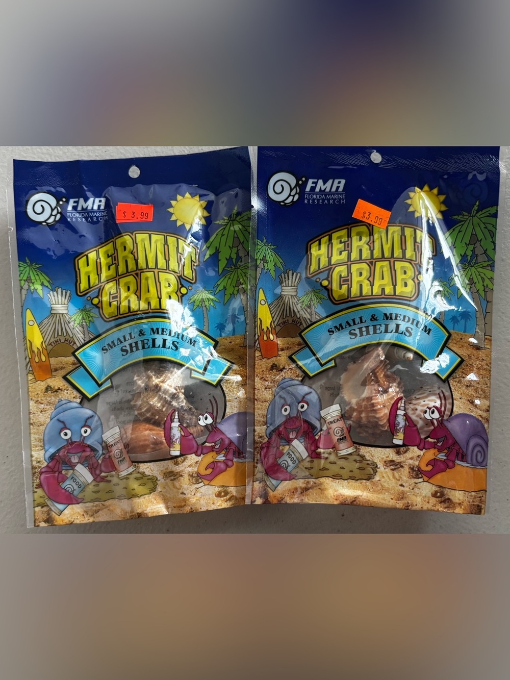 Florida Marine Research Hermit Crab Shells